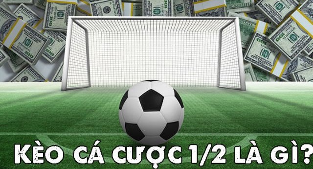 tỷ lệ kèo châu á chấp 0.5
